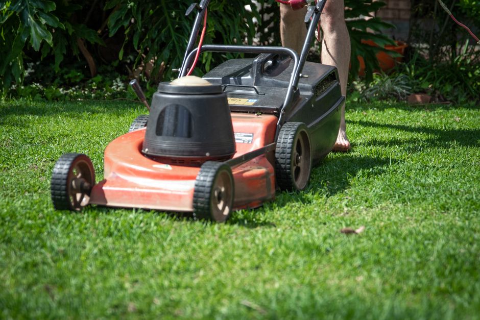 Lawn treatment being applied with a broadcast spreader.