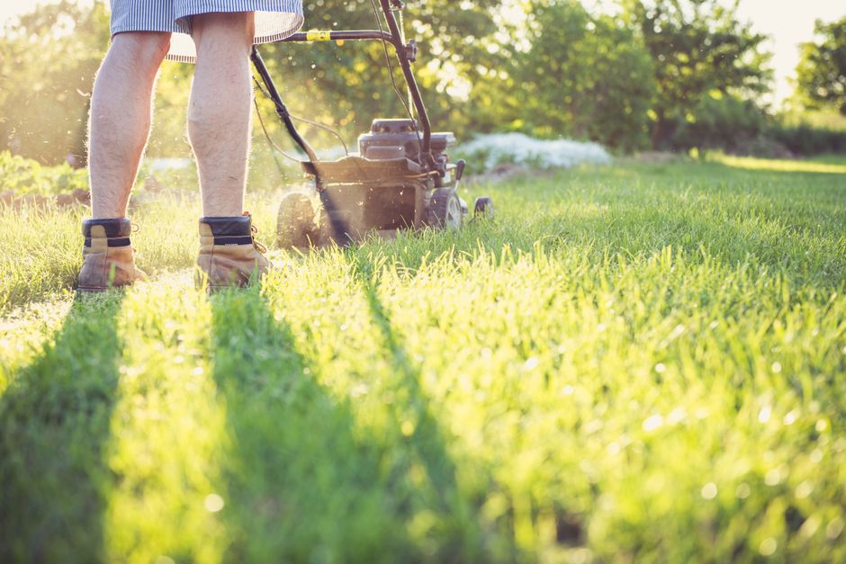 Close-up of a lawn mower cutting grass on a green lawn.